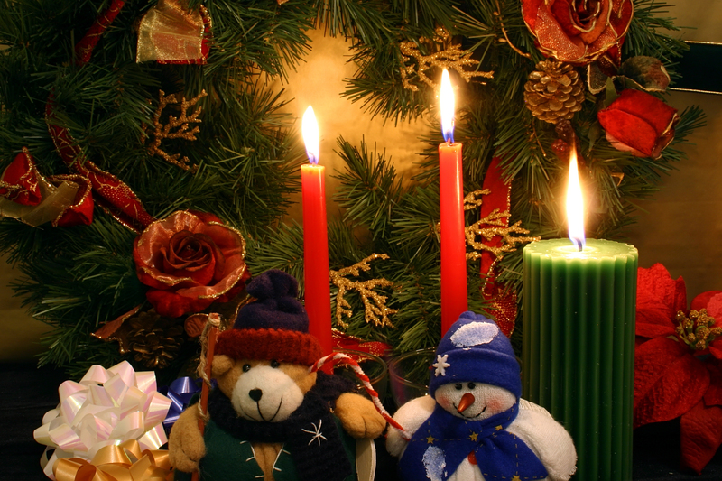 Solutions if Your Waste Bin Hasn't Been Emptied