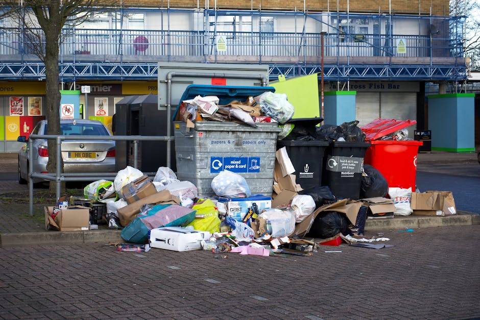 What to know about bulky waste collection near Wanstead Park